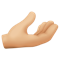 Palm Up Hand- Medium-Light Skin Tone emoji on Facebook